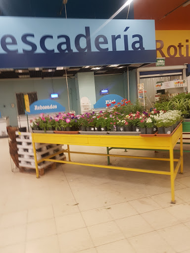 Flower arrangement courses Mendoza