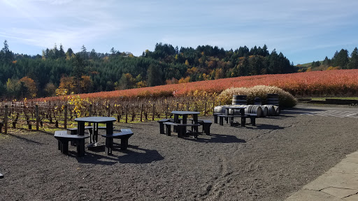 Winery «Ardiri Winery & Vineyards», reviews and photos, 35040 Southwest Unger Road, Cornelius, OR 97113, USA