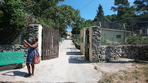 Parc animalier du Mont Faron à Toulon