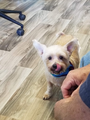 Idabel Veterinary Clinic image