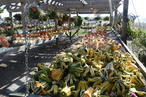 Produce Market «Kroul Farms», reviews and photos, 245 IA-1, Mt Vernon, IA 52314, USA