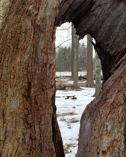 Nature Preserve «Reinstein Woods Nature Preserve», reviews and photos, 93 Honorine Dr, Depew, NY 14043, USA