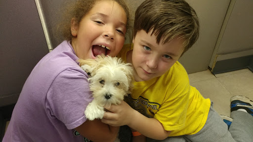 Pet Store «Petland», reviews and photos, 920 Hebron Rd, Heath, OH 43056, USA