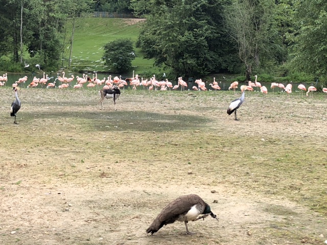 Photo n° 2 de l'avis de Caroline.e fait le 20/08/2021 à 15:40