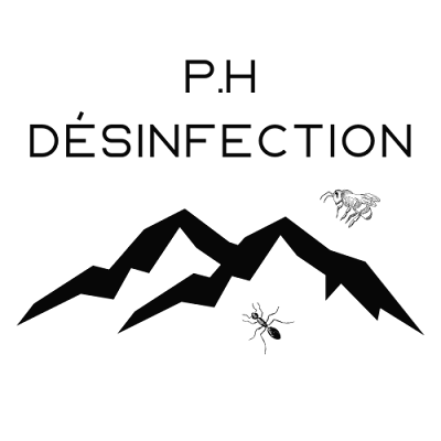 P.HDESINFECTION