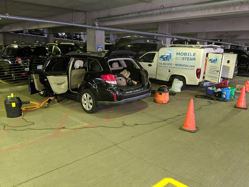 Mobile Eco Steam - Mobile Auto Detailing & Carpet Cleaning en Buffalo