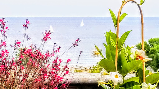 Art Museum «Villa Terrace Decorative Arts Museum», reviews and photos, 2220 N Terrace Ave, Milwaukee, WI 53202, USA