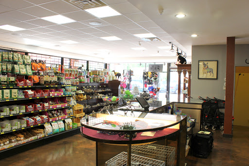 Pet Supply Store «Modern Pet», reviews and photos, 212-77 26th Ave, Bayside, NY 11360, USA