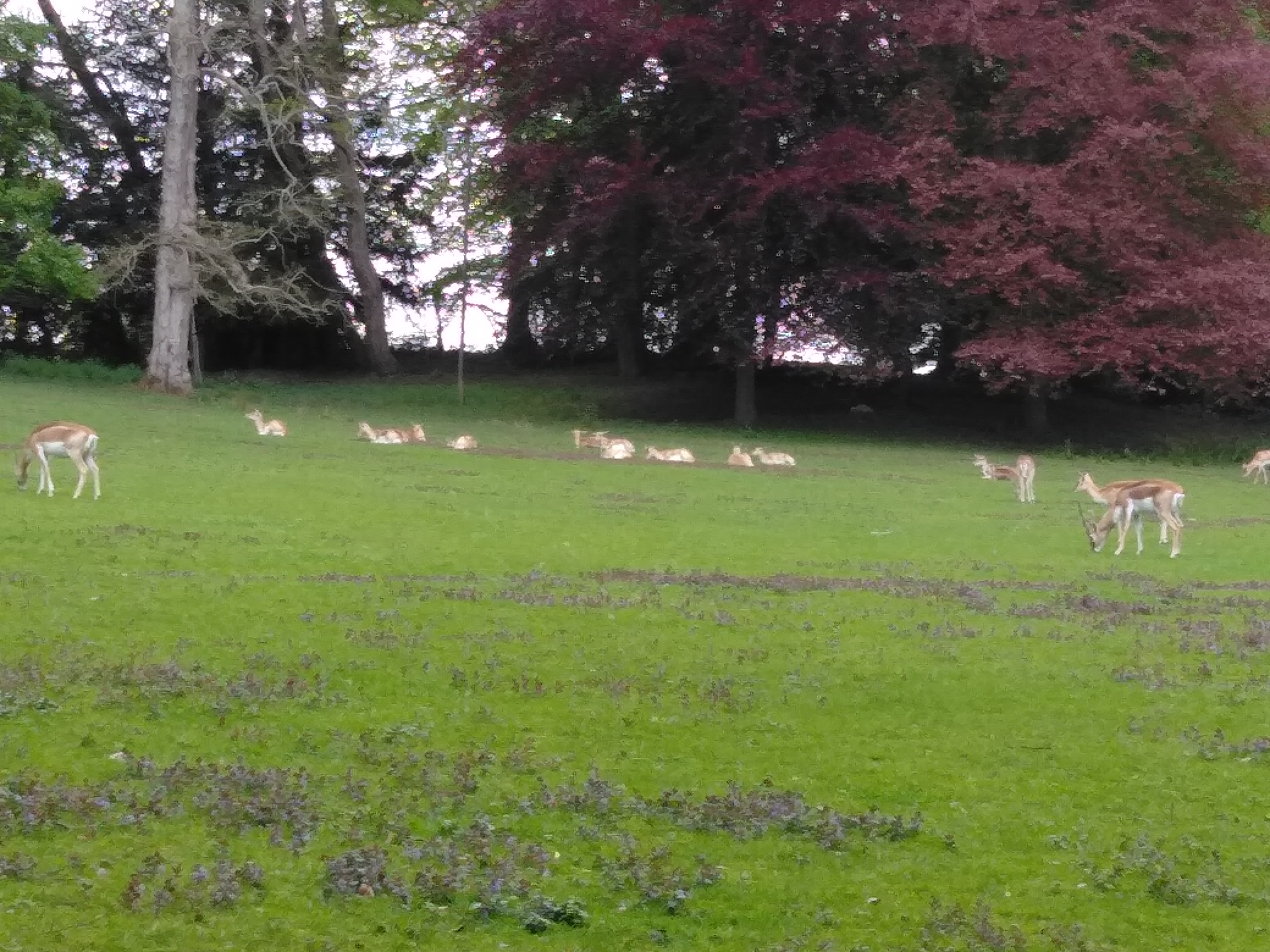 Photo n° 25 de l'avis de Francois.u fait le 08/05/2019 à 16:10