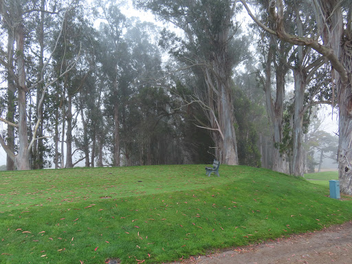 Public Golf Course «Morro Bay Golf Course», reviews and photos, 201 State Park Rd, Morro Bay, CA 93442, USA