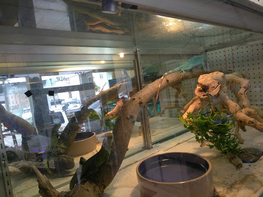 Pet Store «Off The Hook Exotics Pet Shop», reviews and photos, 926 5th Ave, Coraopolis, PA 15108, USA
