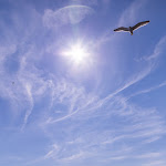 Photo n° 1 de l'avis de SANCHEZ. fait le 13/06/2021 à 14:43 pour Camping Soleil Levant 3 étoiles (ouvert du 1er mai au 30 septembre 2024) à Canet-de-Salars
