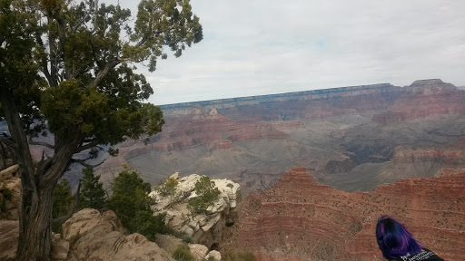 Casino «Gold Coast Hotel and Casino», reviews and photos, 4000 W Flamingo Rd, Las Vegas, NV 89103, USA