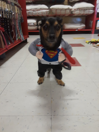 Pet Supply Store «Petco Animal Supplies», reviews and photos, 8775 SW Tualatin-Sherwood Rd, Tualatin, OR 97062, USA