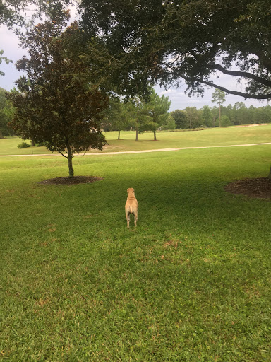 Golf Club «The Golf Club at South Hampton», reviews and photos, 315 S Hampton Club Way, St Augustine, FL 32092, USA