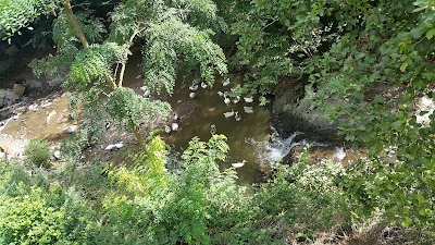 Photos of Beykoz Fidanlığı