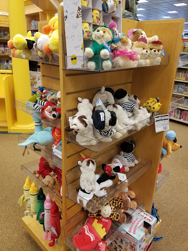 Book Store «Barnes & Noble», reviews and photos, 17111 Haggerty Rd, Northville, MI 48168, USA