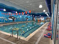 Goldfish Swim School - North Canton - Photo 2 - Car repair in North Canton, OH, Canton