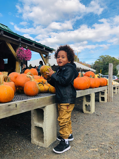 Farm «Langwater Farm», reviews and photos, 209 Washington St, North Easton, MA 02356, USA