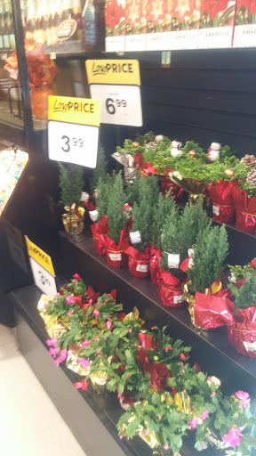 Grocery Store «Food Lion», reviews and photos, 2724 Fairground Rd, Goochland, VA 23063, USA