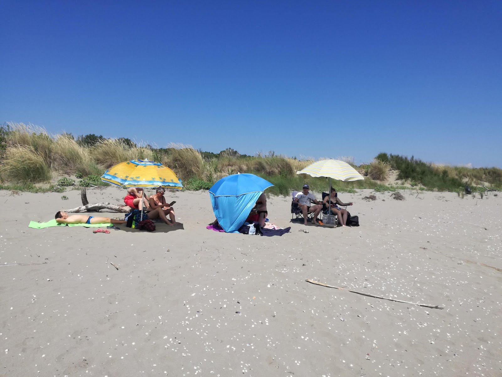 Spiaggia degli Alberoni photo #9