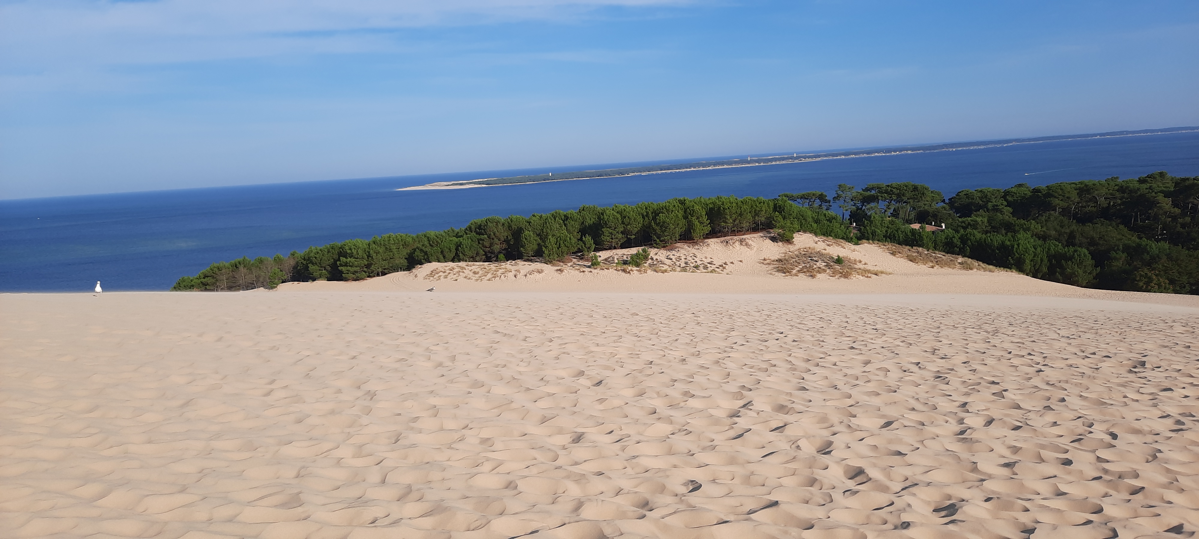 Photo n° 5 de l'avis de Mathieu.a fait le 16/09/2021 à 11:00