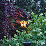 Photo n°2 de l'avis de Bjarke.e fait le 20/07/2019 à 17:25 sur le  Best Western Plus Hotel ERB à Vaterstetten