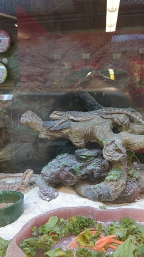 Pet Supply Store «Petco Animal Supplies», reviews and photos, 13127 N Dale Mabry Hwy, Tampa, FL 33618, USA