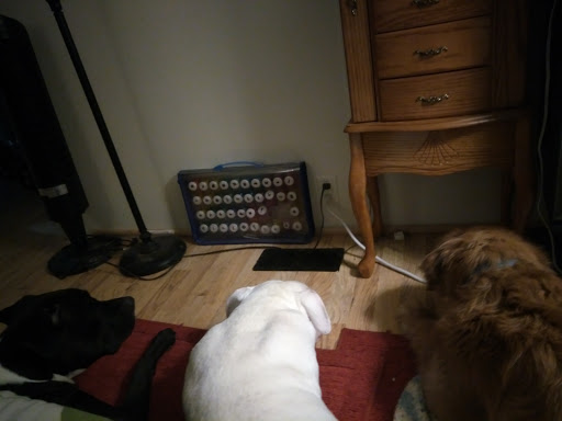 Explore cool face tattoo ideas, creative tattoo ideas in Carson City, available at Distinct Ink Tattoos