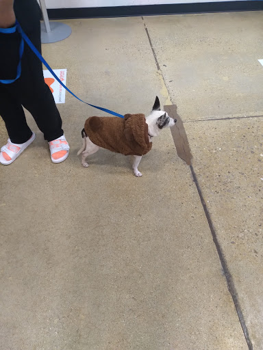 Pet Supply Store «PetSmart», reviews and photos, 130 Junction Drive, Glen Carbon, IL 62034, USA