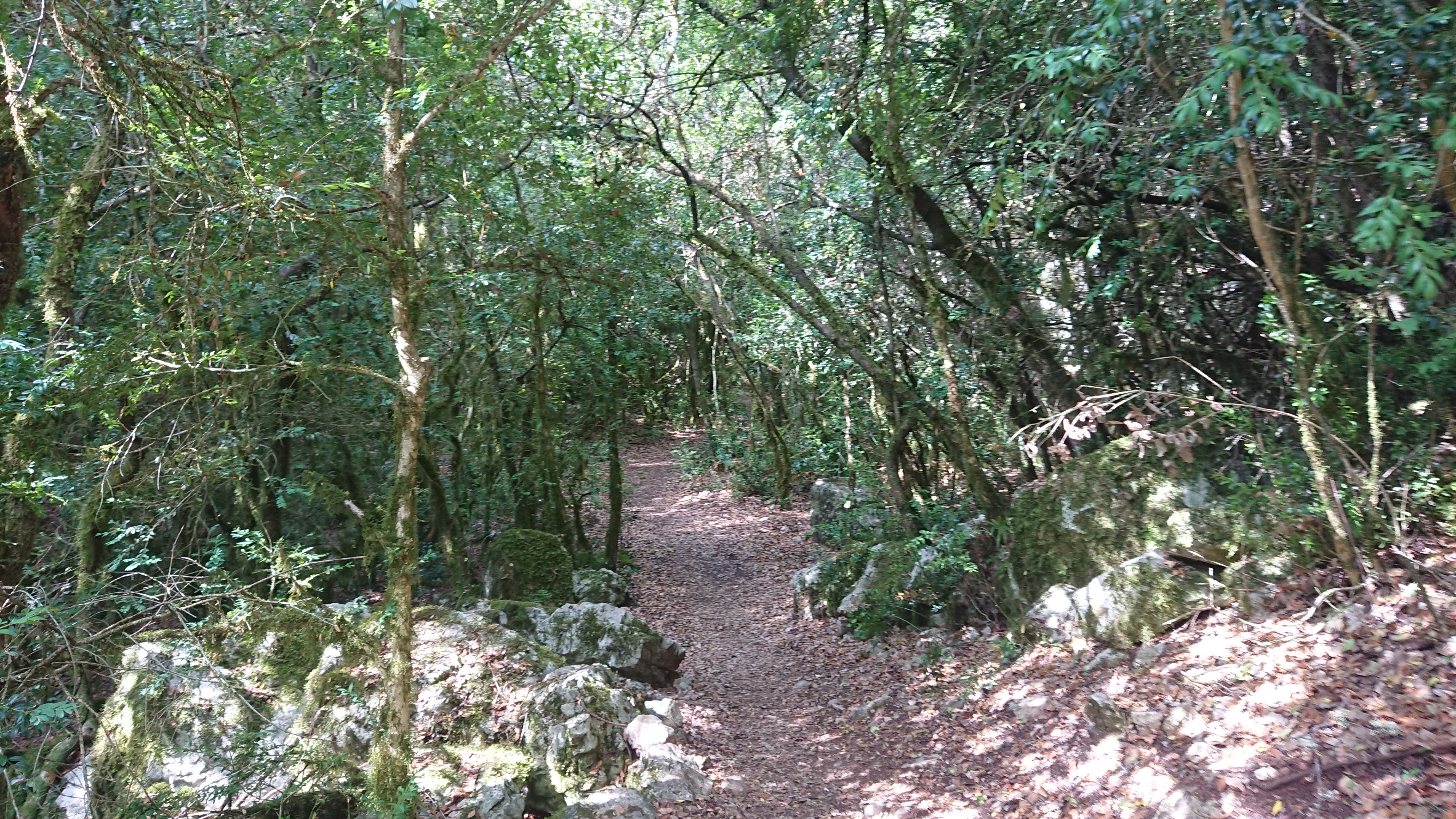Photo n° 1 de l'avis de Alpha.a fait le 11/07/2019 à 10:42