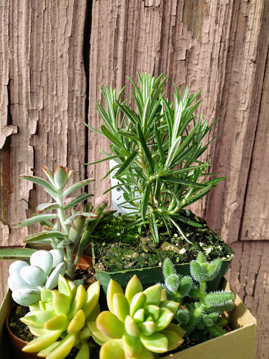 Museum «Queens County Farm Museum», reviews and photos, 73-50 Little Neck Pkwy, Queens, NY 11004, USA