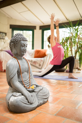 YOGA ÉVOLUTION Saint-Hilaire-du-Bois 49/ Aubigné sur layon 49/en Mauges 49/ Chemillé 49 à Passavant-sur-Layon