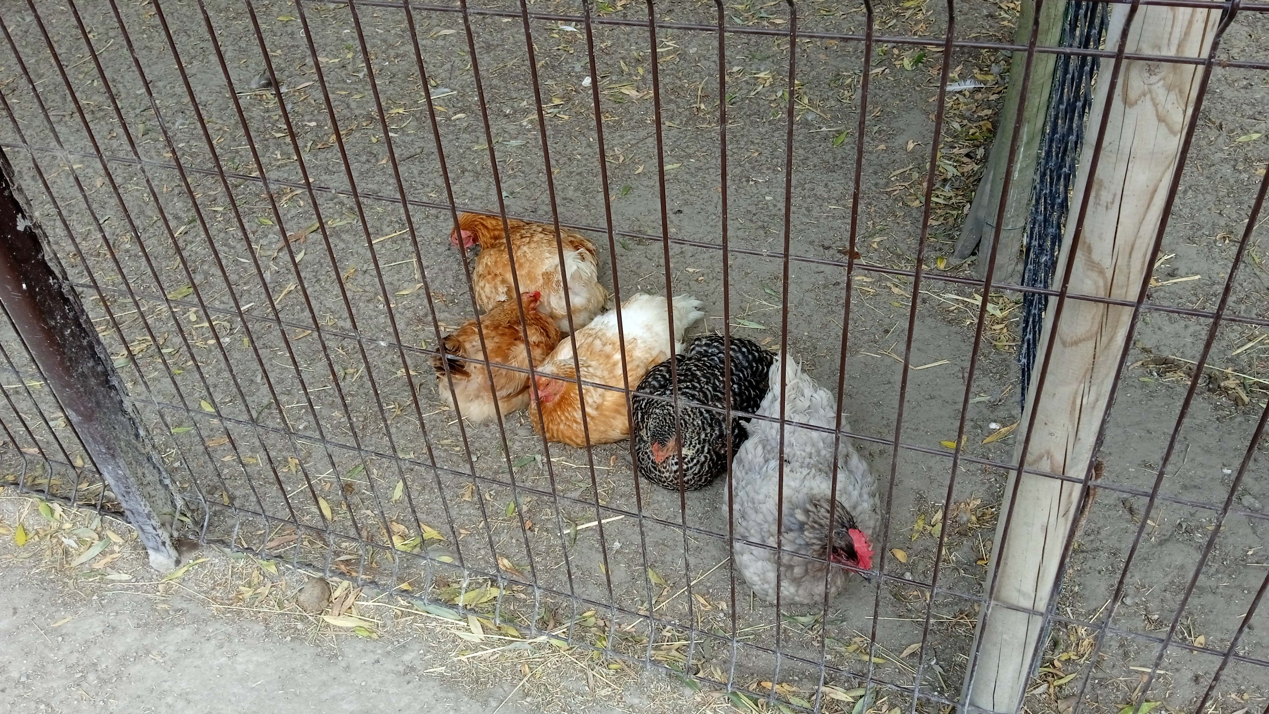 Photo n° 17 de l'avis de Phillipe.a fait le 15/08/2022 à 15:48