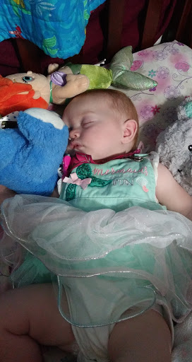 Discount Store «Big Lots», reviews and photos, 1243 S Missouri Ave, Clearwater, FL 33756, USA