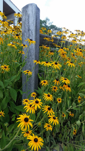 Tourist Attraction «St. Helena Heritage Park», reviews and photos, 123 Tuscarawas St NW, Canal Fulton, OH 44614, USA