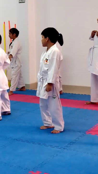 Academia De Karate Sunkku Sinchi