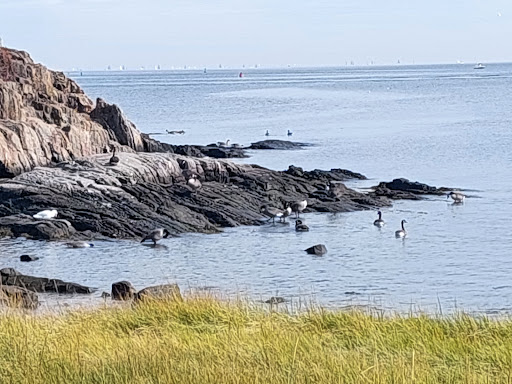 Park «Glen Island Park», reviews and photos, Weyman Ave, New Rochelle, NY 10805, USA