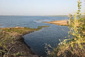 Dholi Dhaja Dam ધોળી ધજા ડેમ image