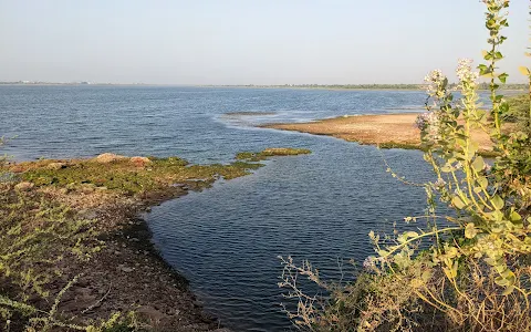 Dholi Dhaja Dam ધોળી ધજા ડેમ image