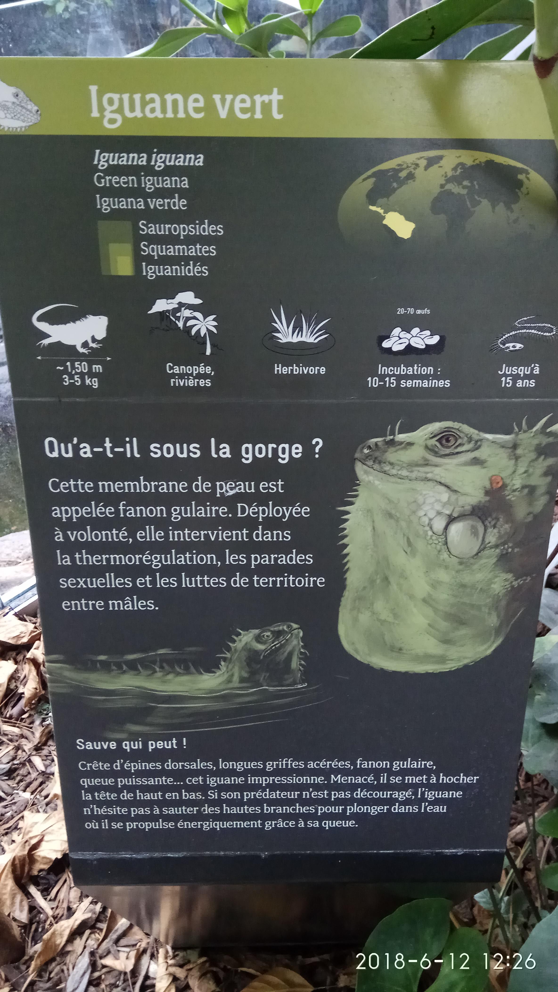 Photo n° 41 de l'avis de Swiss.e fait le 15/06/2018 à 19:24