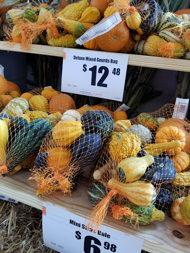 Home Improvement Store «The Home Depot», reviews and photos, 5000 Hampstead Blvd, Clinton, MS 39056, USA