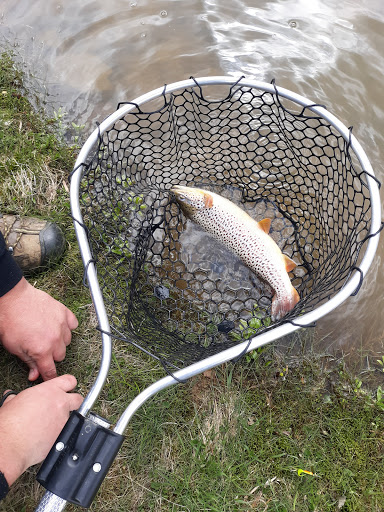 Fishing Store «Indian Creek Fishing & Fire Arms», reviews and photos, 3479 Mango Dr, Danielsville, PA 18038, USA