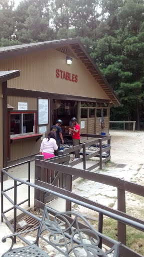 Tourist Attraction «Lake Lanier Canopy Tours», reviews and photos, 7000 Lanier Islands Pkwy, Buford, GA 30518, USA