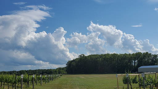 Winery «Working Dog Winery», reviews and photos, 610 Windsor Perrineville Rd, Robbinsville, NJ 08691, USA