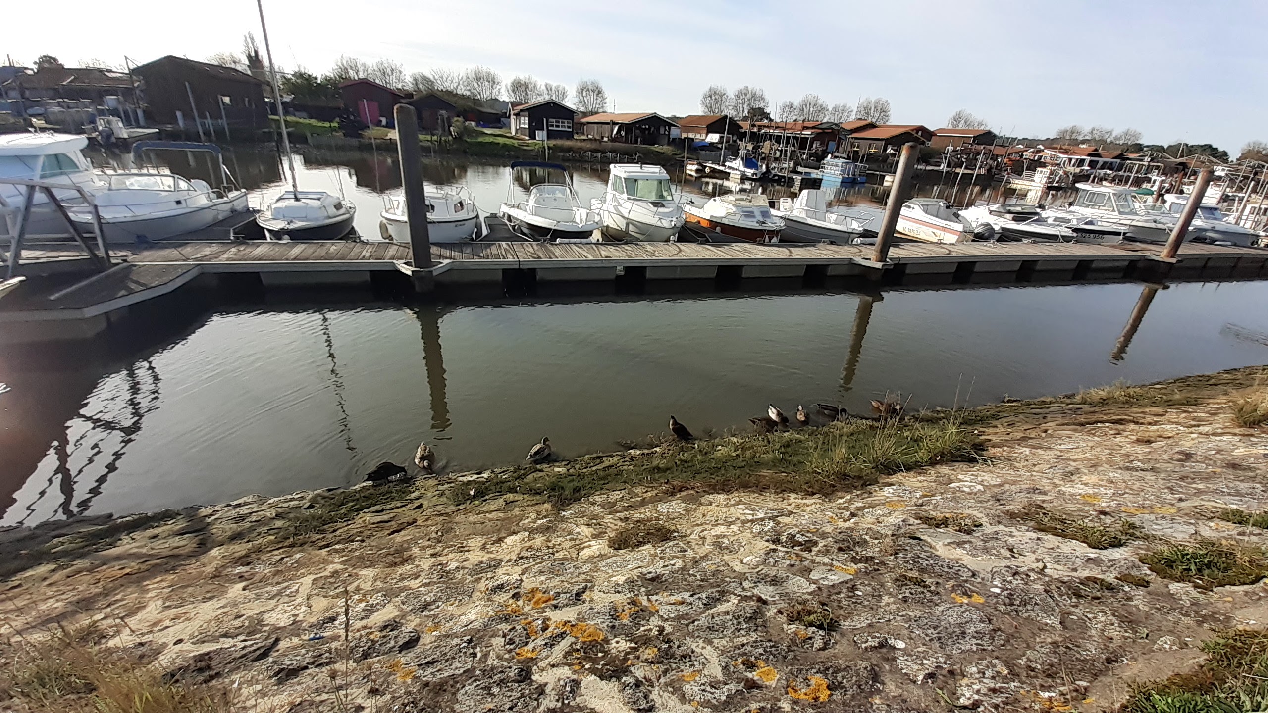 Photo n° 7 de l'avis de Doume. fait le 27/10/2023 à 14:41