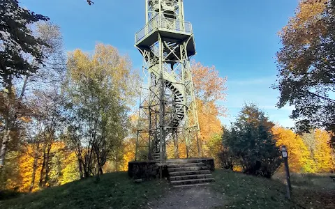 Wilzenberg Turm image