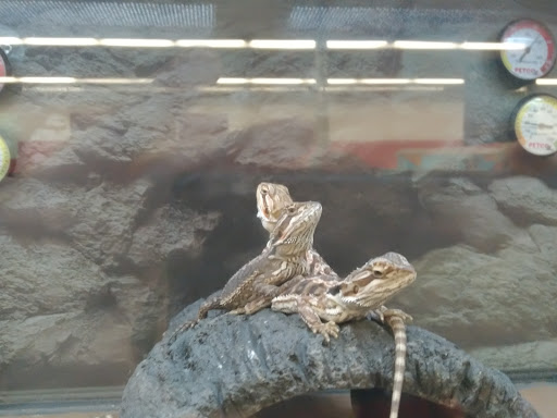 Pet Supply Store «Petco Animal Supplies», reviews and photos, 1111 S Main St #100, Bowling Green, OH 43402, USA