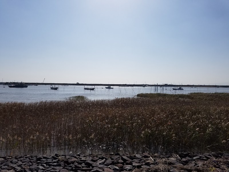 ムツゴロウ公園 グラウンド 佐賀県小城市芦刈町永田 公園 公園 グルコミ