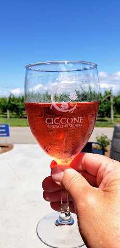 Vineyard «Ciccone Vineyard & Winery», reviews and photos, 10343 E Hilltop Rd, Suttons Bay, MI 49682, USA